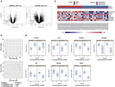 JUN and PDGFRA as Crucial Candidate Genes for Childhood Autism Spectrum Disorder